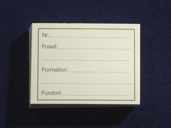 ID-kort til fossiler 100 stk.